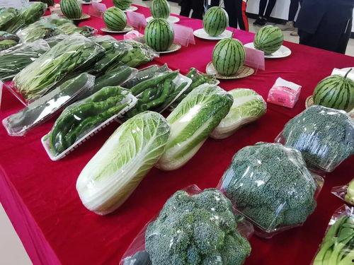 邹城昌平花园吃瓜