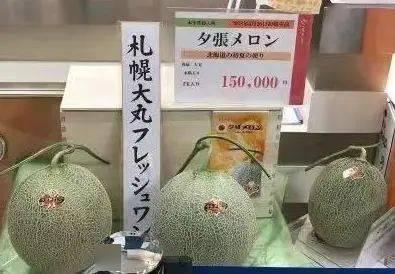 网纹瓜吃球,揭秘吃球背后的神奇奥秘