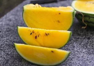 吃瓜掰瓜,吃瓜掰瓜，探寻明星幕后故事