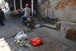 汕头潮阳社区吃瓜,邻里共享，瓜香四溢的和谐生活画卷