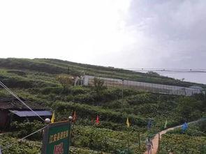 公园吃瓜事件,公共道德与个人行为的边界探讨