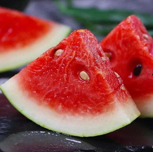 鹿羽吃瓜在哪找