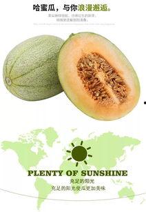 哈密瓜干可以这么吃,哈密瓜干的多重美味吃法探索