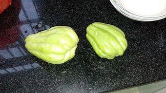 兔儿瓜可以晒干吃吗,传统美食新体验