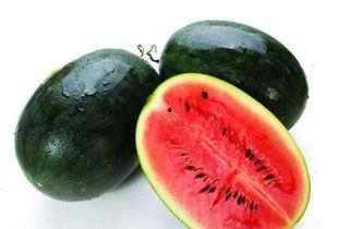 吃瓜是什么专业,揭秘网络热词背后的专业解读