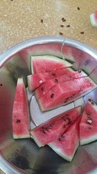 吃瓜吃不动,揭秘娱乐圈幕后真相