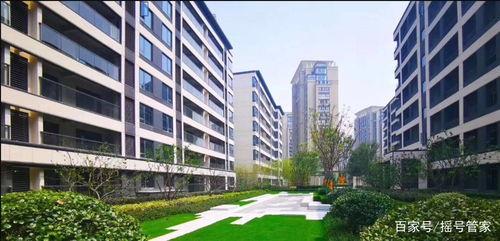 吃瓜对面楼房,揭秘吃瓜楼房的神秘生活