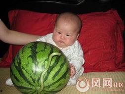 宝宝吃瓜搞笑音乐