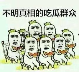 进群吃瓜算不算违法,法律边界与网络伦理探讨