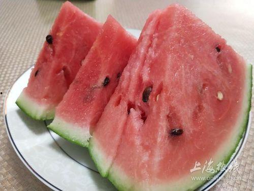 南汇一中网课吃瓜,揭秘网课背后的故事