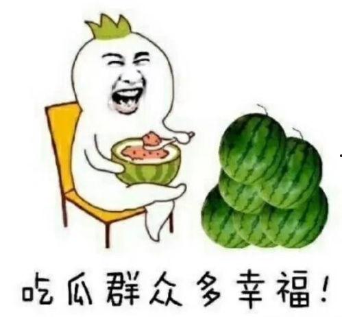 很快乐的吃瓜,快乐吃瓜，畅游欢乐时光
