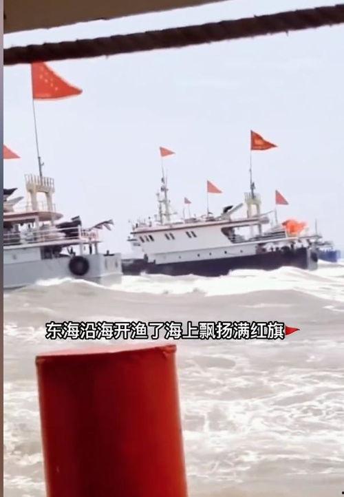浙渔船吃瓜,海上瓜田里的甜蜜生活